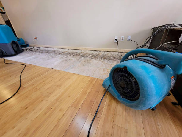 Professional Structural Drying technician working in Glenshaw, PA